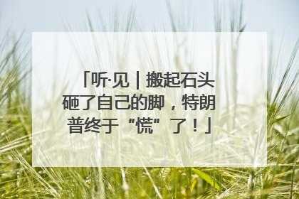 听·见｜搬起石头砸了自己的脚，特朗普终于“慌”了！