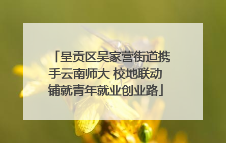 呈贡区吴家营街道携手云南师大 校地联动铺就青年就业创业路