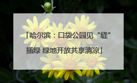 哈尔滨：口袋公园见“缝”插绿 绿地开放共享清凉