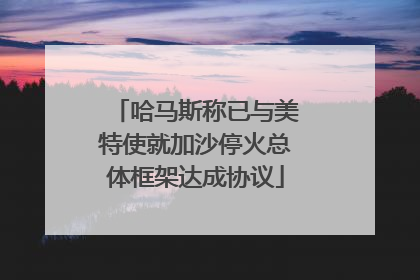 哈马斯称已与美特使就加沙停火总体框架达成协议
