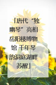 唐代“独幽琴”亮相岳阳楼博物馆 千年琴韵洞庭湖畔苏醒