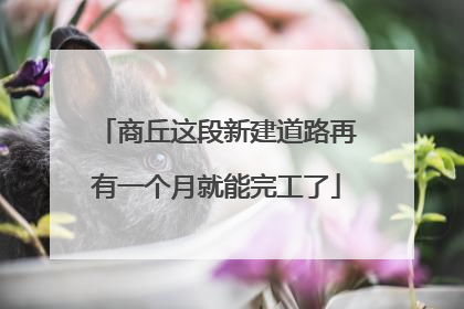 商丘这段新建道路再有一个月就能完工了