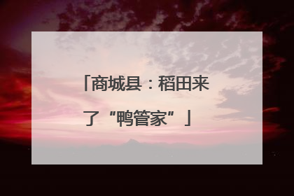 商城县：稻田来了“鸭管家”