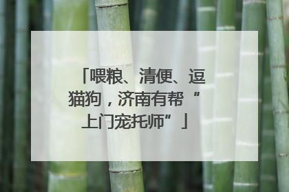 喂粮、清便、逗猫狗，济南有帮“上门宠托师”