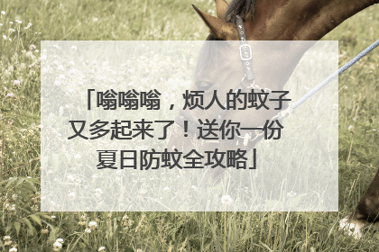 嗡嗡嗡，烦人的蚊子又多起来了！送你一份夏日防蚊全攻略
