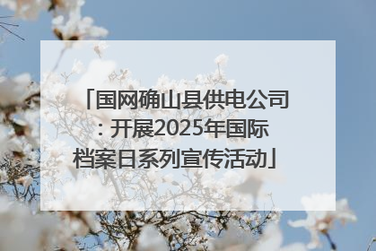 国网确山县供电公司：开展2025年国际档案日系列宣传活动