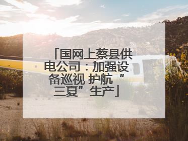 国网上蔡县供电公司：加强设备巡视 护航“三夏”生产