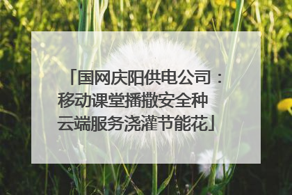 国网庆阳供电公司：移动课堂播撒安全种 云端服务浇灌节能花