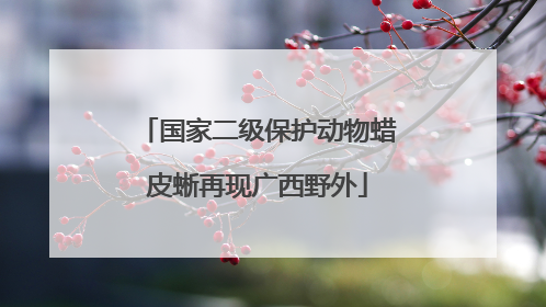 国家二级保护动物蜡皮蜥再现广西野外