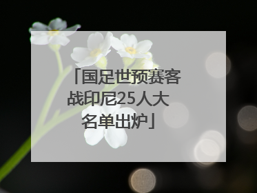 国足世预赛客战印尼25人大名单出炉