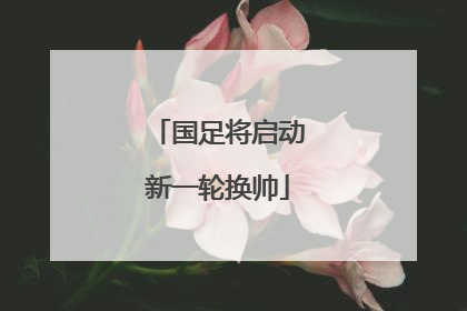 国足将启动新一轮换帅