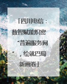 四川电信：数智赋能织密“普遍服务网”，绘就巴蜀新画卷