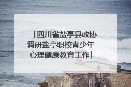 四川省盐亭县政协调研盐亭职校青少年心理健康教育工作