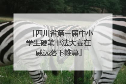 四川省第三届中小学生硬笔书法大赛在威远落下帷幕