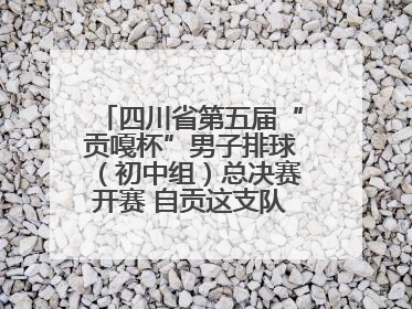 四川省第五届“贡嘎杯”男子排球（初中组）总决赛开赛 自贡这支队伍打进半决赛