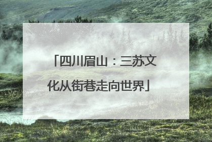 四川眉山：三苏文化从街巷走向世界