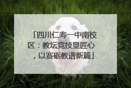 四川仁寿一中南校区：教坛竞技显匠心，以赛砺教谱新篇