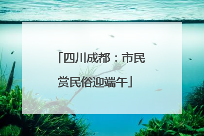 四川成都：市民赏民俗迎端午