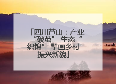 四川芦山：产业“破茧” 生态“织锦” 擘画乡村振兴新貌