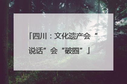四川：文化遗产会“说话”会“破圈”