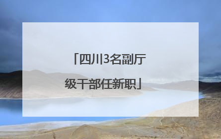 四川3名副厅级干部任新职