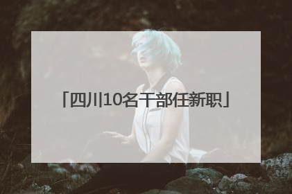 四川10名干部任新职