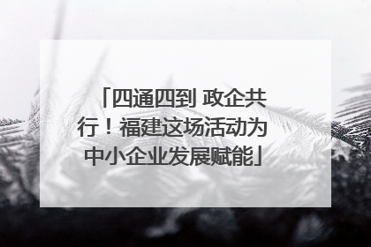 四通四到 政企共行！福建这场活动为中小企业发展赋能