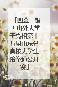 四金一银！山外大学子亮相第十五届山东省高校大学生跆拳道公开赛