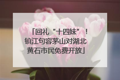 回礼“十四妹”！镇江句容茅山对湖北黄石市民免费开放