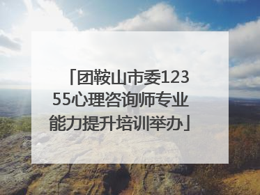 团鞍山市委12355心理咨询师专业能力提升培训举办