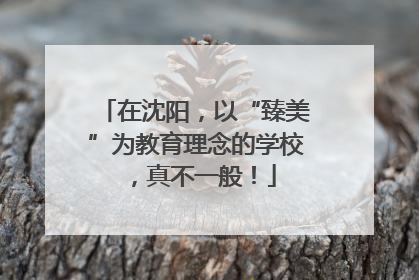 在沈阳，以“臻美”为教育理念的学校，真不一般！