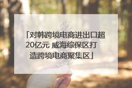 对韩跨境电商进出口超20亿元 威海综保区打造跨境电商聚集区