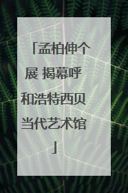孟柏伸个展 揭幕呼和浩特西贝当代艺术馆