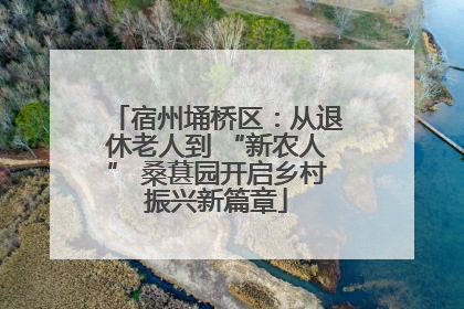 宿州埇桥区：从退休老人到 “新农人” 桑葚园开启乡村振兴新篇章