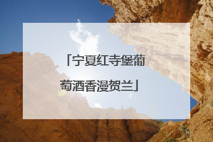 宁夏红寺堡葡萄酒香漫贺兰