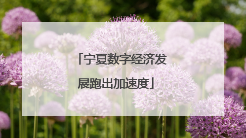 宁夏数字经济发展跑出加速度