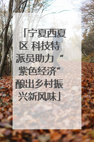 宁夏西夏区 科技特派员助力“紫色经济”酿出乡村振兴新风味