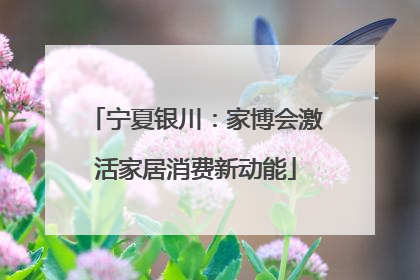 宁夏银川：家博会激活家居消费新动能