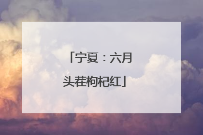 宁夏：六月头茬枸杞红