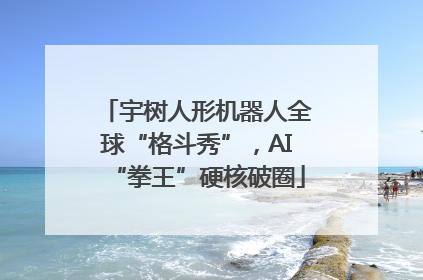 宇树人形机器人全球“格斗秀”，AI“拳王”硬核破圈