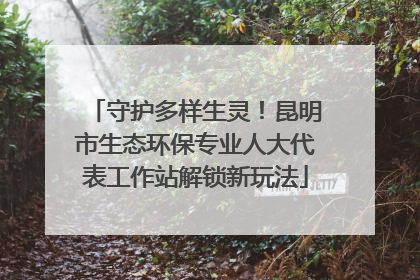 守护多样生灵！昆明市生态环保专业人大代表工作站解锁新玩法