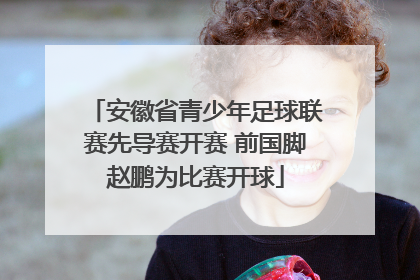 安徽省青少年足球联赛先导赛开赛 前国脚赵鹏为比赛开球