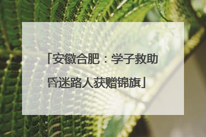 安徽合肥：学子救助昏迷路人获赠锦旗