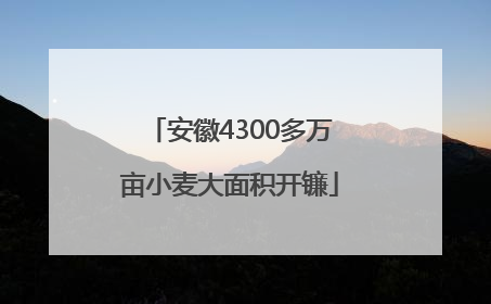 安徽4300多万亩小麦大面积开镰