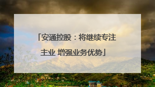 安通控股：将继续专注主业 增强业务优势
