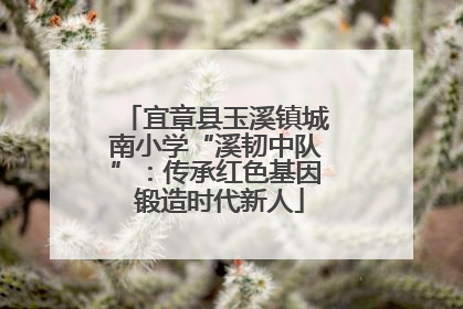宜章县玉溪镇城南小学“溪韧中队”：传承红色基因 锻造时代新人
