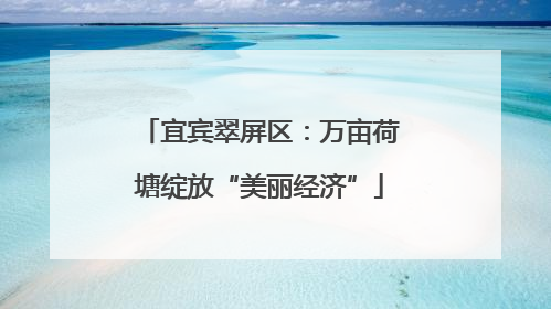 宜宾翠屏区：万亩荷塘绽放“美丽经济”