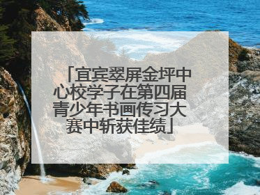 宜宾翠屏金坪中心校学子在第四届青少年书画传习大赛中斩获佳绩