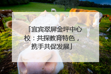 宜宾翠屏金坪中心校：共探教育特色，携手共促发展