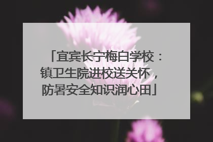 宜宾长宁梅白学校：镇卫生院进校送关怀，防暑安全知识润心田